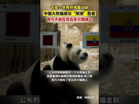 费耶诺德欧,战开场仅,秒丢球,中国中彩网,足彩竞猜,中彩网,体彩竞猜