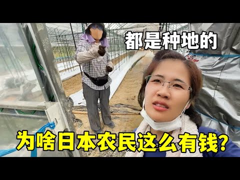 岁内马尔休,天受热议,阿根廷总统,中国中彩网,足彩竞猜,中彩网,体彩竞猜