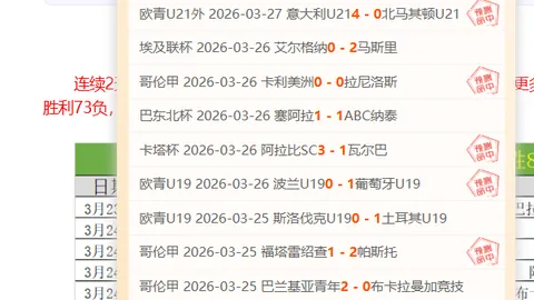 陈梦谈奥运单打席位：接受大皖新闻采访